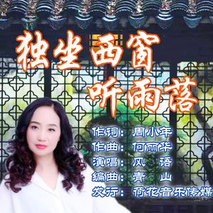 独坐西窗听雨落