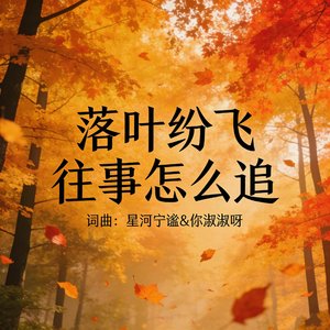 落叶纷飞往事怎么追