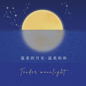 温柔的月光温柔的你