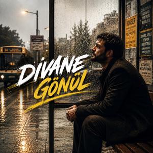 Divane Gönül