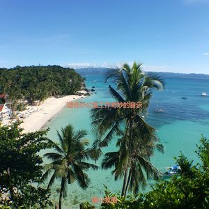 办公事务天然的爵士