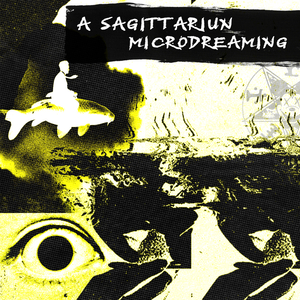 Microdreaming