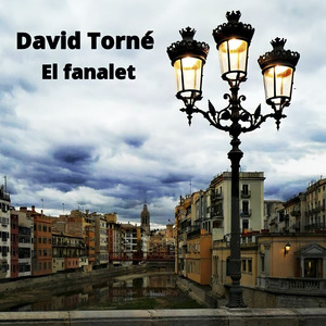 Passejant per Girona