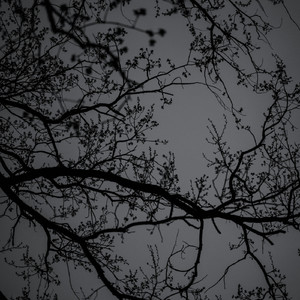 I Don't Trust Nobody