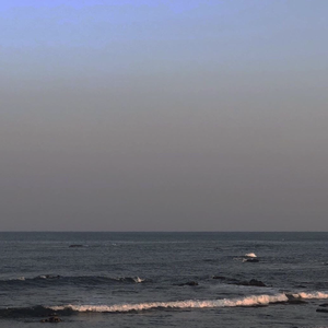 江海不渡你（翻自 诗人凉）