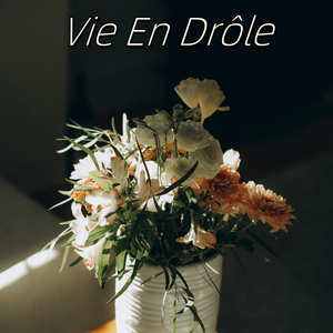 Vie En Drôle