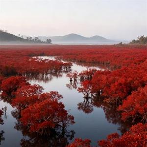 我在你心里算什么
