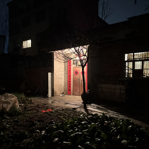 俗子本纪