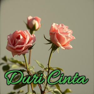Duri Cinta