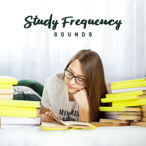 Ambient Study Music
