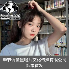 精神可嘉 (DJ版)