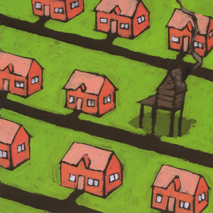 Underwater Animal Colors