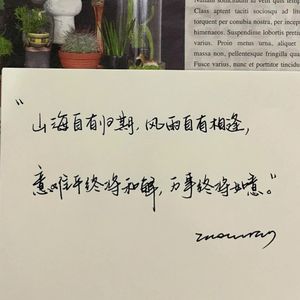 思念肆意生长