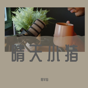 修某某