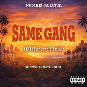 Same Gang (Different Field)