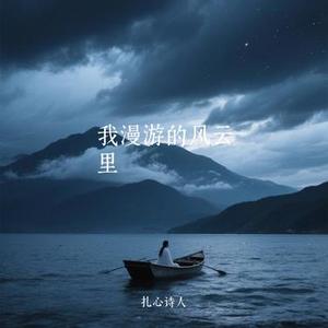 我漫游的风云里