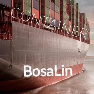 Container (feat. 1 MC & Artie King)