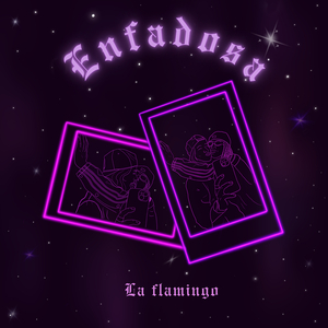 Enfadosa