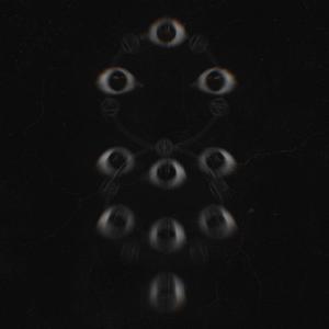 The Wake (s+r)