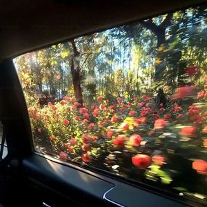 Leocarlo _（dj-alim）