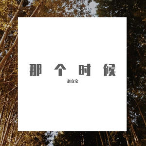 赵立宝-小美好（赵立宝 remix）