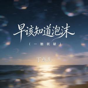 早该知道泡沫（一触就破）