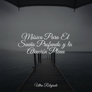 Florecimiento Del Amor