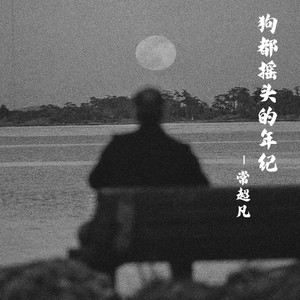 狗都摇头的年纪 (DJ默涵版)