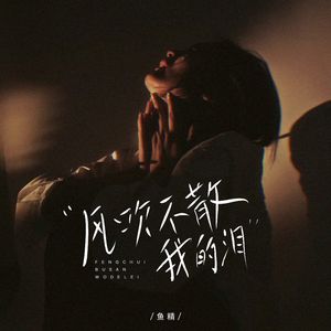 风吹不散我的泪