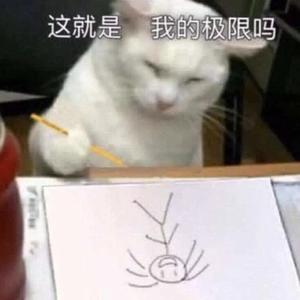 这一生关于你的风景