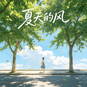 夏天的风