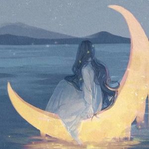 你是忽然落进掌心的星光