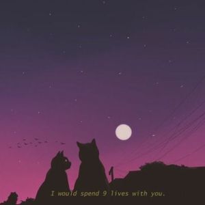 Lo Fi x Jazz Hiphop Beat - Without You