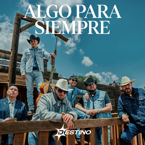 Tú