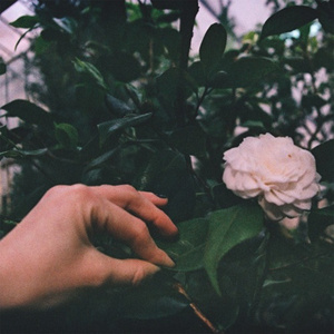 A Million Starflakes