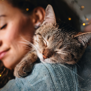 El Viaje Ronroneante