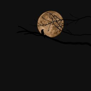 刻在我心底的名字