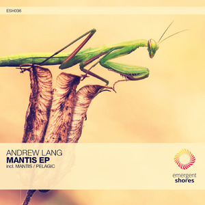 Mantis