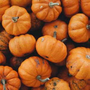 Full Moon Meditation