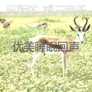 微妙的睡觉心情
