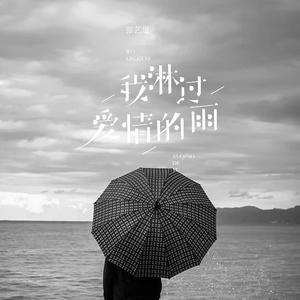 我淋过爱情的雨
