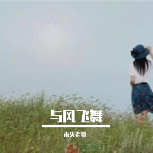 与风飞舞