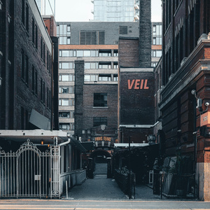 Veil (Instrumental Version)