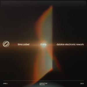 If Only (Datskie Extended Rework)