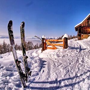 Are you coming to the tree besty