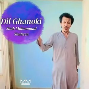 Dil Parda