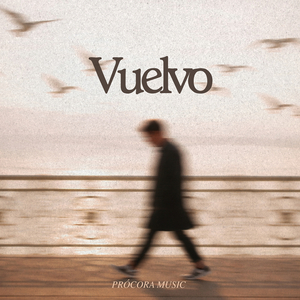 Vuelvo