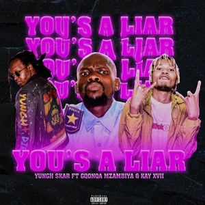 You's a Liar
