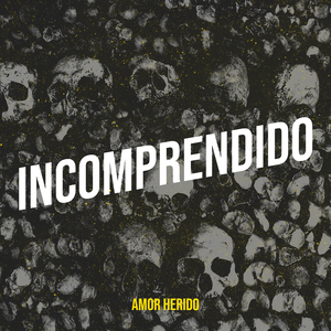 Incomprendido