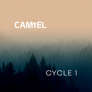 Cycle 1